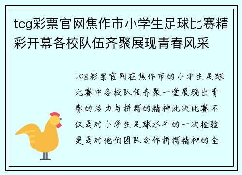 tcg彩票官网焦作市小学生足球比赛精彩开幕各校队伍齐聚展现青春风采
